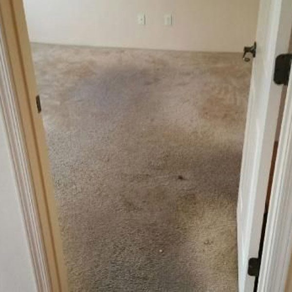 Carpet Cleaning Service Sierra Vista, AZ